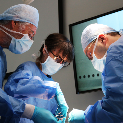 Core Endoscopic Urology and Peno-Scrotal Surgery