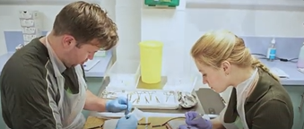 Students participating in the surgical skills course
