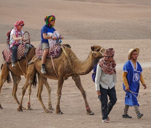 Doctors riding camels in the Sahara desert